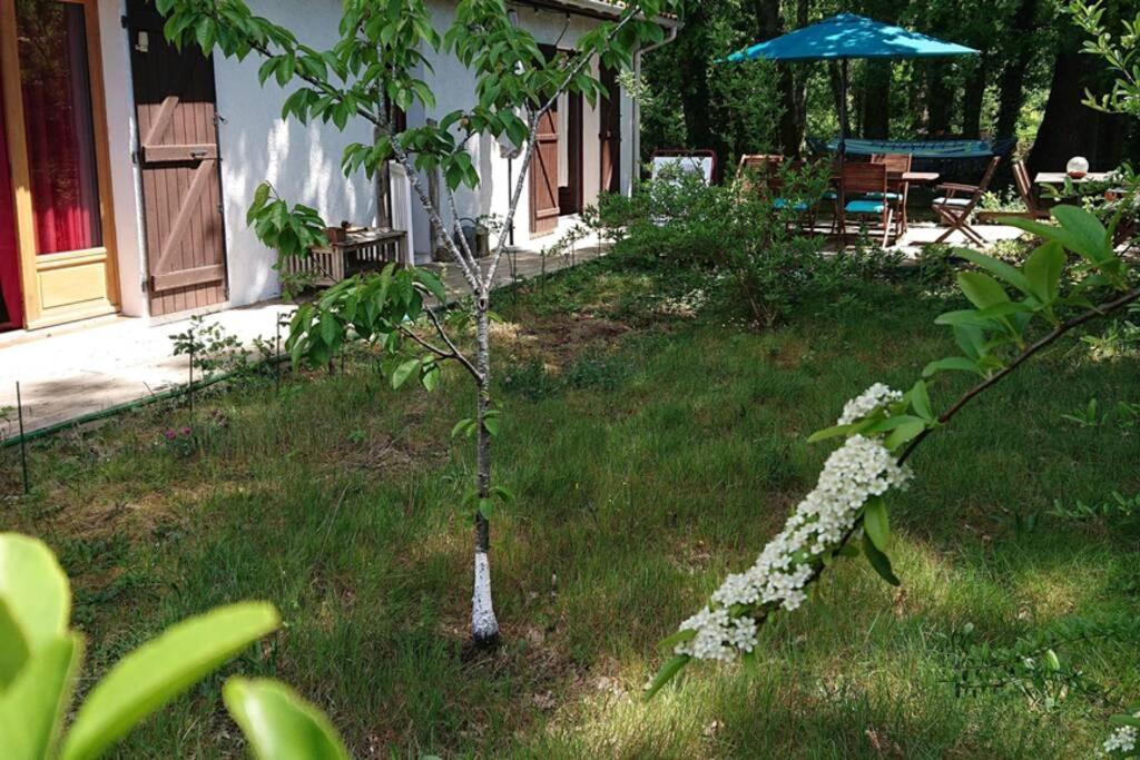 Villa Azurine Andernos Les Bains Екстериор снимка